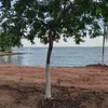 luizaparecidodasilva511g