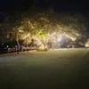 cheeny_19