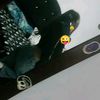 gabi.camargo55