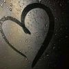 shehad.5