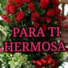 sofiadiaz.13