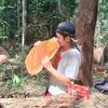 donny_damara5