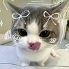 id0nt_reallykn0wwww