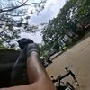 bunglonkulonngetan