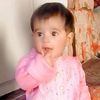 bhbalochjani