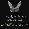mubbashirkhan57