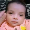 alifa23.3