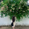 quyenchanggg