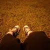 kisses_hh