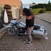 harley_davidson_the_king