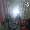 angell7558