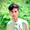 sajedail50