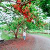 thin.nandar80