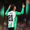 ayoze8