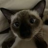 moz_butnooneknows