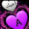 atham.iess
