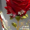 hysam67
