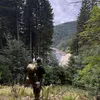 bair67_