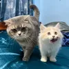 chuckie.yuna
