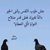 user8195700090619