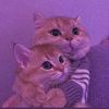 user7326111228602