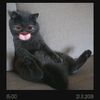 mr_fifty__
