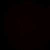 lenny.josue3