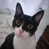 marisquito05