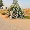 omar_alajili