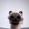 gymnastics123_rarrrrrr