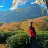 medobep_decorxinh