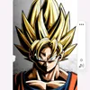 heyitsmesongoku8