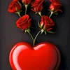 a__s__o__95a