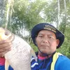 user12620694430521