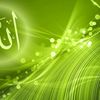 user8426503844207