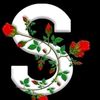 mdibahim59