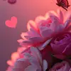 🧚‍♀️⚜️voyance.sylvie06⚜️🧚‍♀️