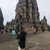 _sapabaewis_