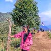 shllalifiadstiasaptri_
