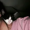 sweetiesilly