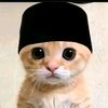fikri.marzuq