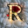 rube_elgebely56