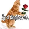 chan.ta257