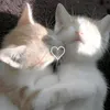 anevbcnhka