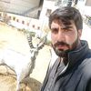 nematadil