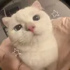 lhyckadiamondinthesky