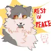 mister._.puszon629