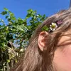rana_radwan10