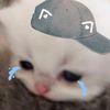 mie_ay4m13