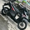 parel_244